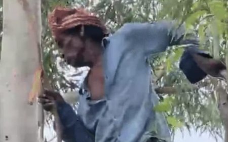 12 घंटे पेड़ पर बैठा रहा युवक, रेस्क्यू के दौरान 25 फीट नीचे गिरा, सिर में गंभीर चोट
