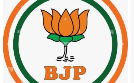 दतिया उपचुनाव: भाजपा ने निर्वाचन आयोग को दिए अहम सुझाव, 85+ मतदाताओं के लिए होम वोटिंग की मांग