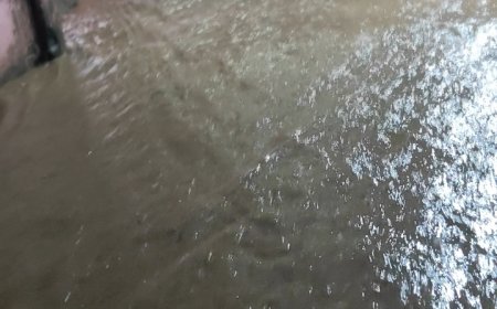 एक घंटे की बारिश में जलमग्न हुआ बापौली धाम आश्रम, संस्कृत पाठशाला के 60 छात्र सुरक्षित