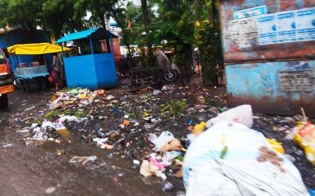 शिक्षा के मंदिर से गंदगी तक: बैतूल में अव्यवस्था पर फूटा लोगों का गुस्सा