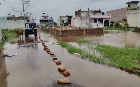 सांसद निधि से पेंशनर्स भवन के लिए 5 लाख मंजूर: रायसेन में वरिष्ठजनों को मिलेगा अपना केंद्र, शिवराज ने दी सौगात