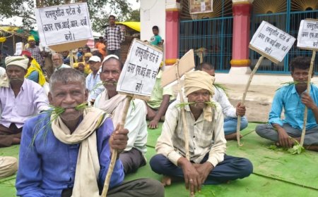 मैहर में आदिवासी जमीन विवाद ने पकड़ा तूल, पूर्व मंत्री के रिश्तेदार पर गंभीर आरोप; निष्पक्ष जांच की मांग