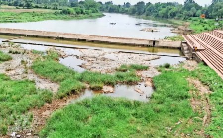 41 दिन बाद भी बेतवा सूखी, हलाली डैम से 100 एमसीएफटी पानी लाने पर निर्भर हुई नगर पालिका*