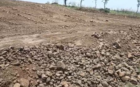 जावरा के भुट्टा खेड़ी में अवैध उत्खनन का आरोप, सरपंच ने एसडीएम से की कार्रवाई की मांग