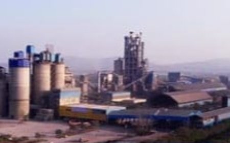 मैहर में सीमेंट कंपनियों के प्रदूषण पर बड़ा आरटीआई खुलासा, CPCB के जवाब से उठे गंभीर सवाल