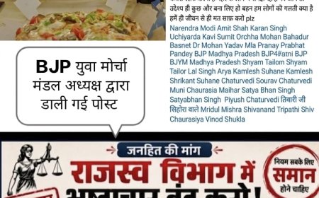 मैहर में भाजपा नेता की डिलीटेड पोस्ट से बवाल, महिला राजस्व अधिकारी पर लगाए आरोपों ने खड़े किए कई सवाल