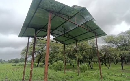 जावरा: 400 साल पुराने शमशान घाट पर अवैध कब्जे का आरोप, रास्ता बंद होने से ग्रामीणों में आक्रोश