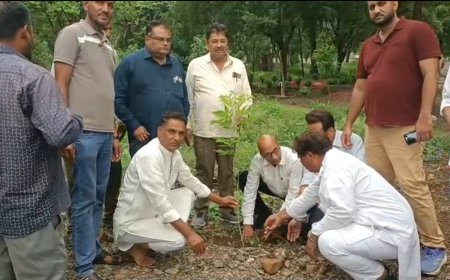 जावरा में 'अमृत हरित माह अभियान 2026' की शुरुआत, जनता कॉलोनी-कब्रिस्तान में हुआ पौधारोपण
