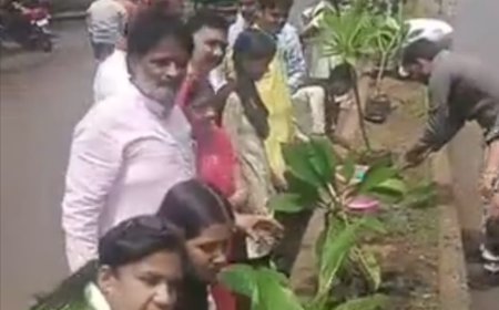 रायसेन में डिवाइडर पर 100 से अधिक पौधे रोपे गए: 'नमो हरित नगर' अभियान के तहत सागर रोड पर पौधारोपण