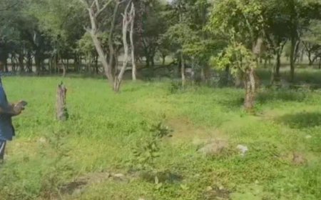 NGT सख्त: भोज वेटलैंड के 50 मीटर FTL क्षेत्र से अतिक्रमण हटाने के आदेश, 3 सप्ताह में मांगी रिपोर्ट