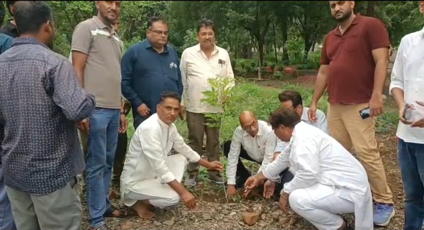 जावरा में 'अमृत हरित माह अभियान 2026' की शुरुआत, जनता कॉलोनी-कब्रिस्तान में हुआ पौधारोपण