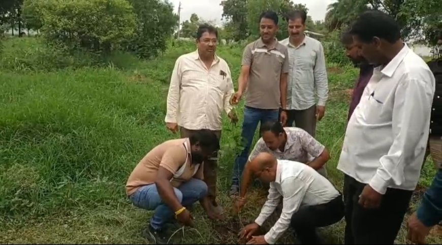 जावरा में 'अमृत हरित माह अभियान 2026' की शुरुआत, जनता कॉलोनी-कब्रिस्तान में हुआ पौधारोपण