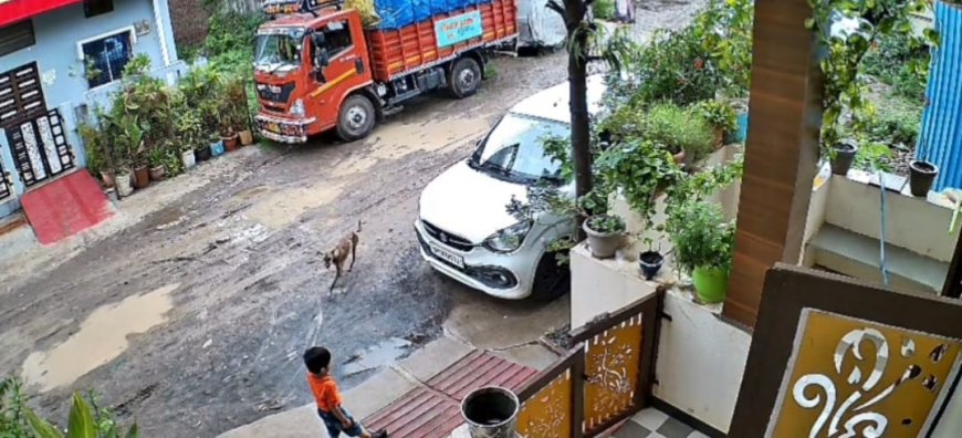 सैलाना में आवारा कुत्तों का आतंक: स्कूल जा रहे मासूम पर हमला, CCTV वीडियो आया सामने, स्वास्थ्य व्यवस्था पर उठे सवाल