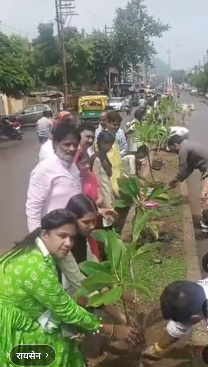 रायसेन में डिवाइडर पर 100 से अधिक पौधे रोपे गए: 'नमो हरित नगर' अभियान के तहत सागर रोड पर पौधारोपण