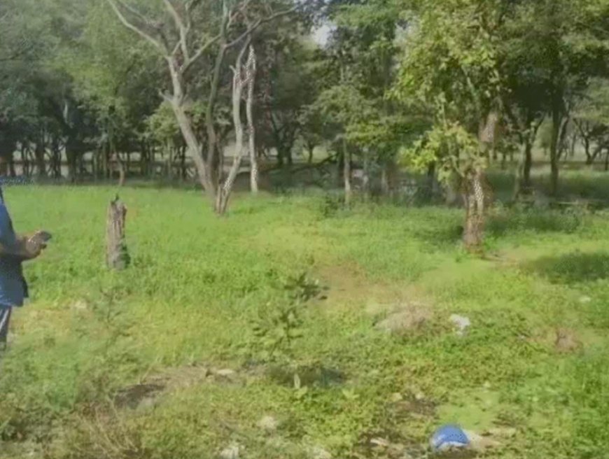 NGT सख्त: भोज वेटलैंड के 50 मीटर FTL क्षेत्र से अतिक्रमण हटाने के आदेश, 3 सप्ताह में मांगी रिपोर्ट