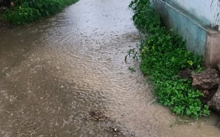 मैहर के वार्ड 23 में नाली निर्माण बना मुसीबत, बारिश का पानी घरों में घुसने से रहवासी परेशान