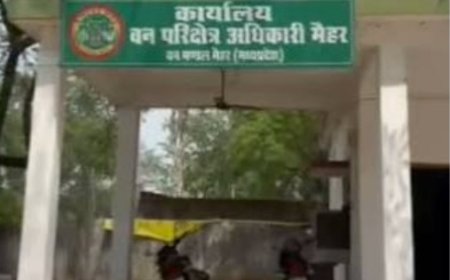 बहेली के आदिवासी समाज का मैहर में प्रदर्शन, बिरसा मुंडा की प्रतिमा क्षतिग्रस्त करने का आरोप; DFO पर कार्रवाई की मांग