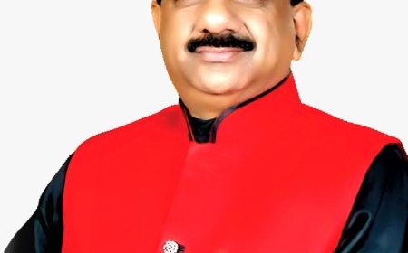 सीए के संरक्षण का कानून बनाने का मुद्दा लोकसभा में उठा