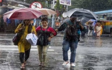 भोपाल समेत MP में तेज बारिश, 14 जिलों में भारी बारिश का अलर्ट; कई इलाकों में बाढ़ जैसे हालात