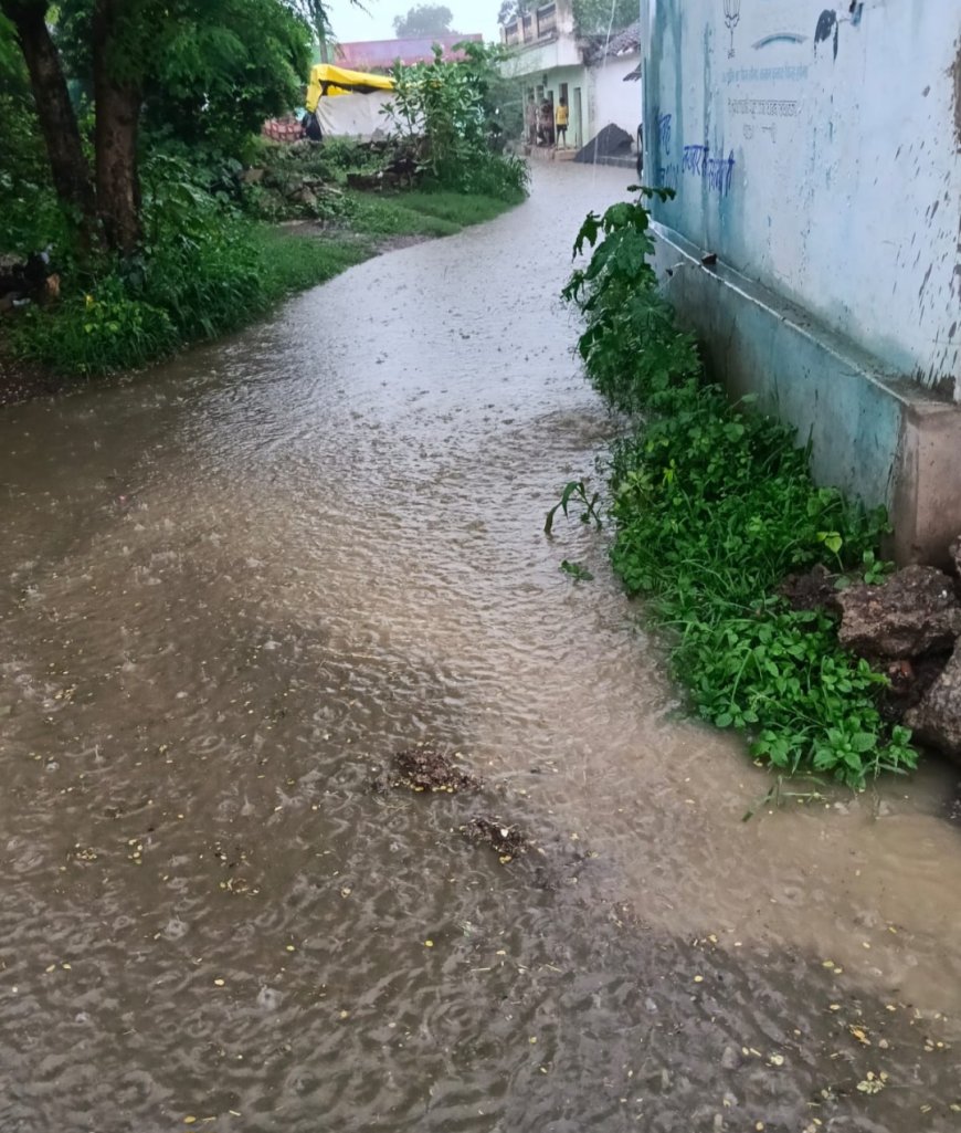 मैहर के वार्ड 23 में नाली निर्माण बना मुसीबत, बारिश का पानी घरों में घुसने से रहवासी परेशान