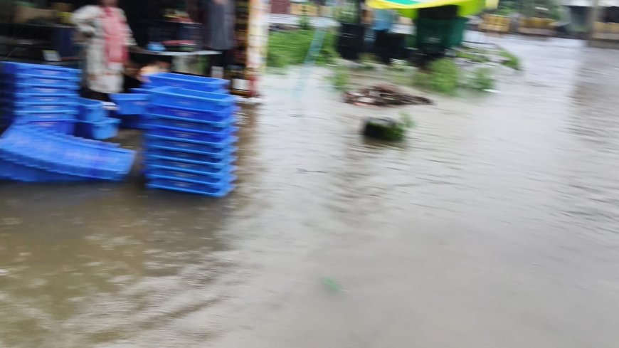 भोपाल में सुबह से तेज बारिश, 21 जिलों में भारी बारिश का अलर्ट; कई इलाकों में बाढ़ जैसे हालात