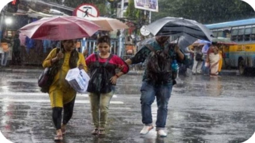भोपाल समेत MP में तेज बारिश, 14 जिलों में भारी बारिश का अलर्ट; कई इलाकों में बाढ़ जैसे हालात
