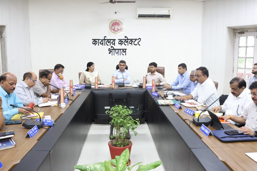 कलेक्टर प्रियंक मिश्रा के कड़े तेवर: एग्रीस्टेक अभियान में ढिलाई न बरतें अफ़सर