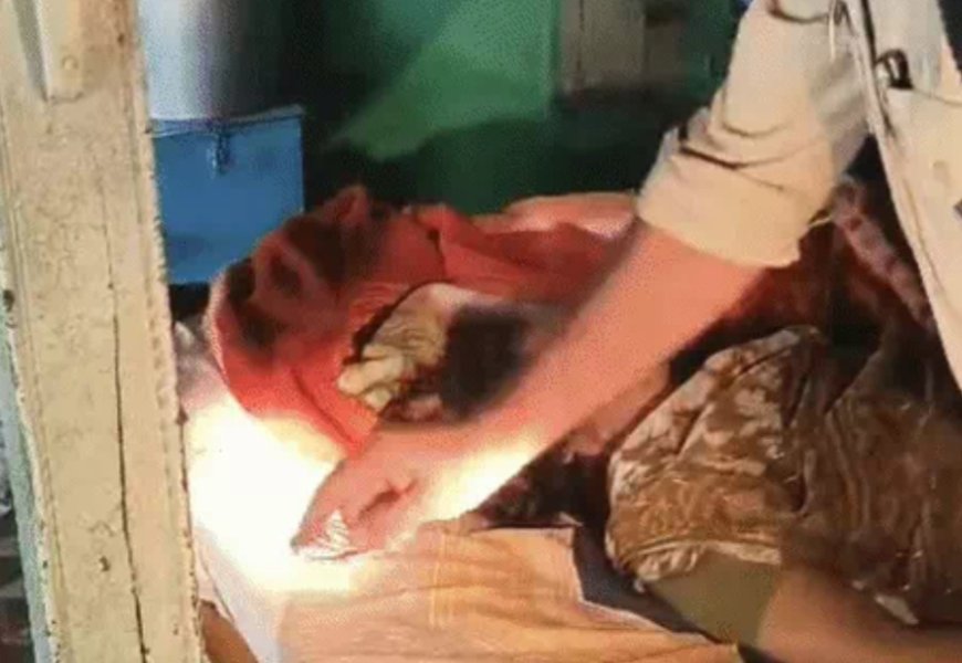 आखिरी मुलाकात' बनी मौत का कारण, प्रेमी ने बिजली के तार से गला घोंटकर की विधवा की हत्या, गहने लेकर फरार