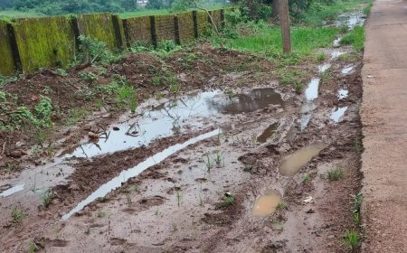 अमरकंटक के माई की बगिया मार्ग बना हादसों का रास्ता , दलदल और जलभराव से श्रद्धालु-पर्यटक परेशान
