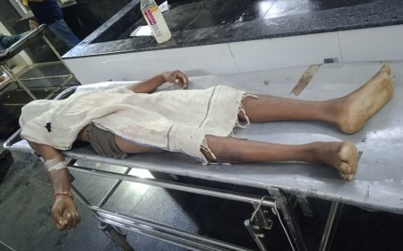 अज्ञात वाहन से ठोकर से दो की मौत,दो घायल