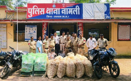 महू-नीमच हाईवे पर ट्रकों से तिरपाल काटकर चोरी करने वाले गिरोह का पर्दाफाश, 4 गिरफ्तार
