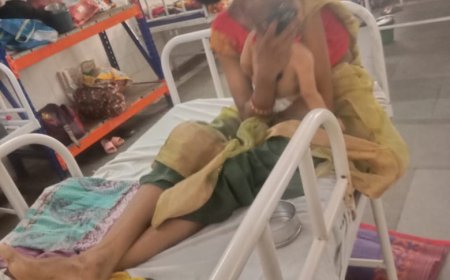 दो माह से मेहनताना नहीं, बीमार बच्चे के इलाज के लिए भटक रहा बांधवगढ़ का श्रमिक