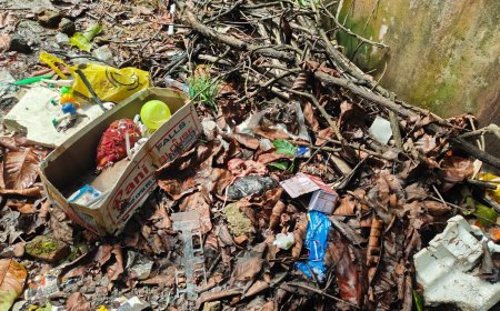 कचरे के ढेर में लावारिस मिला नवजात, जमुना कॉलोनी में मचा हड़कंप
