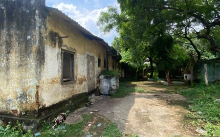 बिजली ऑफिस के खंडहर में शाम ढलते ही अंधेरा कारोबार, कार्रवाई का इंतजार