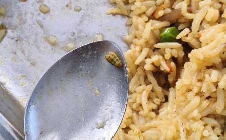 SAGE यूनिवर्सिटी हॉस्टल के खाने में कीड़ा मिलने पर छात्रों का हंगामा, मौके पर पहुंची पुलिस