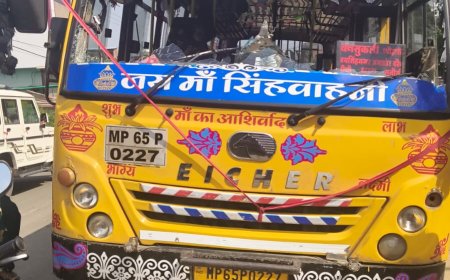 शहडोल में तेज रफ्तार का कहर: हरि ओम ट्रेवल्स बस ने पैदल युवक को कुचला, हालत गंभीर
