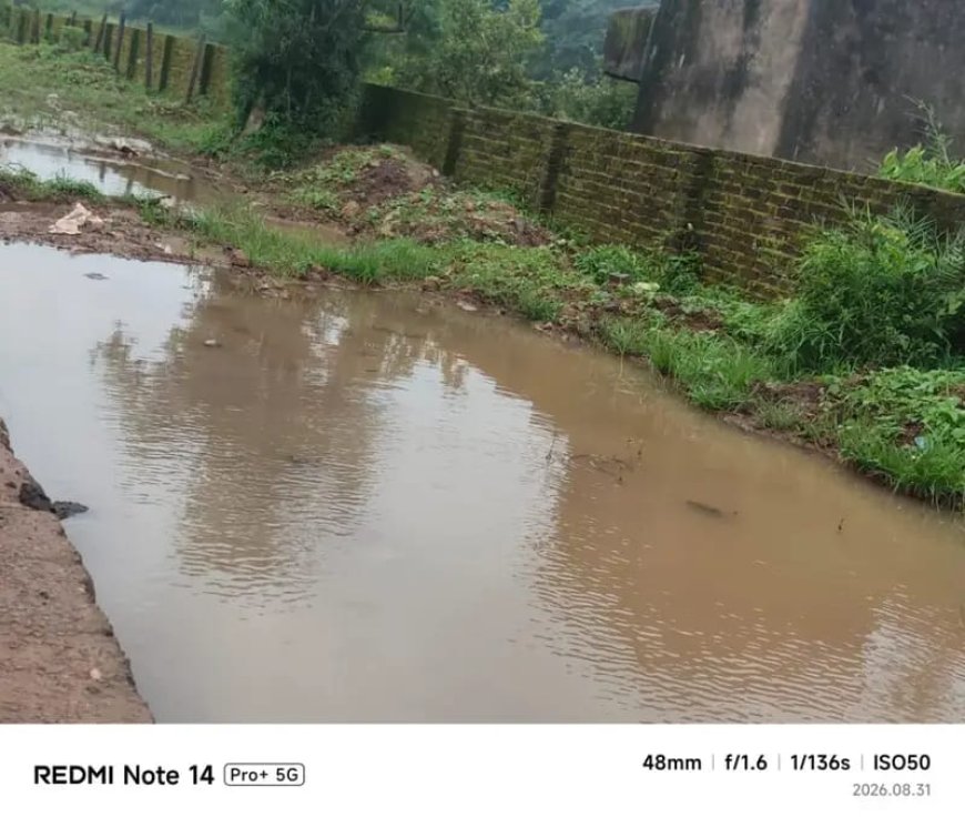 अमरकंटक के माई की बगिया मार्ग बना हादसों का रास्ता , दलदल और जलभराव से श्रद्धालु-पर्यटक परेशान