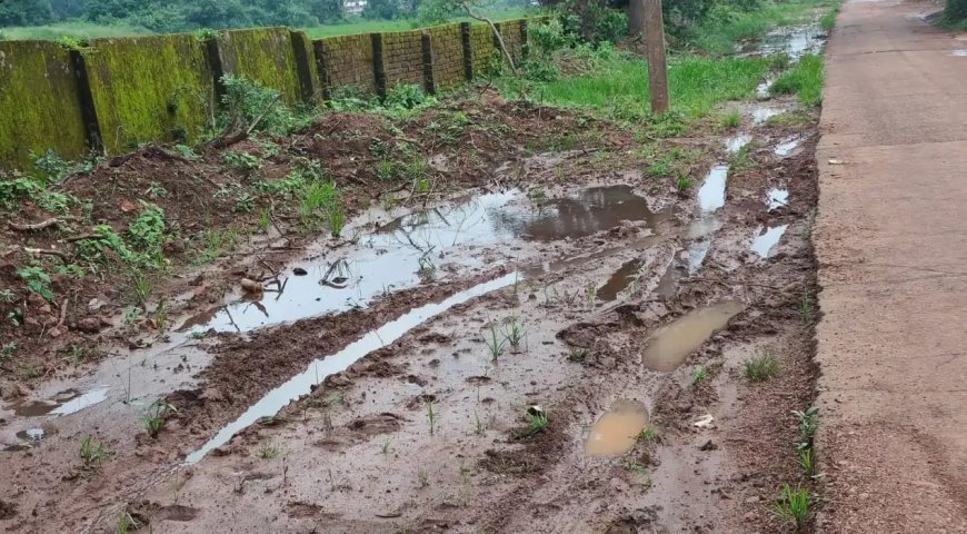 अमरकंटक के माई की बगिया मार्ग बना हादसों का रास्ता , दलदल और जलभराव से श्रद्धालु-पर्यटक परेशान