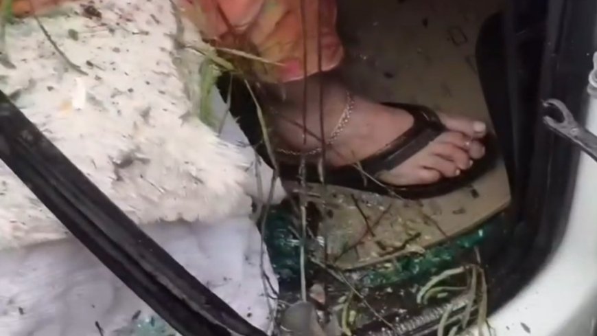 इंदौर में बड़ा हादसा: चलती कारों पर गिरा विशाल पेड़, डिप्टी कलेक्टर की मां की मौत
