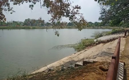 तीन संदिग्ध मौतों की आपराधिक जांच की मांग, अधिवक्ता ने एसपी को सौंपा आवेदन
