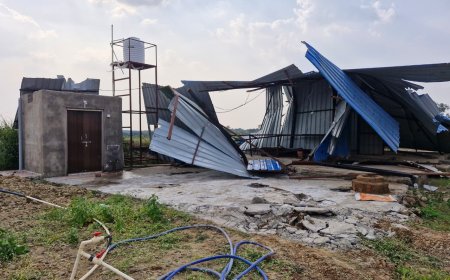 परवलिया सड़क थाना क्षेत्र  में 61 करोड़ की 180 एकड़ सरकारी ज़मीन अतिक्रमण मुक्त