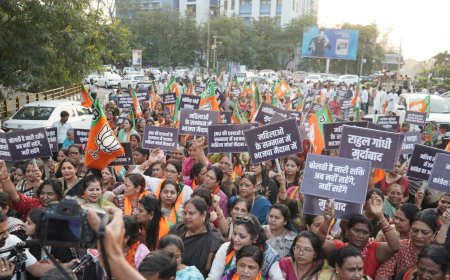 भाजपा महिला मोर्चा जिला भोपाल ने कांग्रेस कार्यालय के समक्ष राहुल गांधी का पुतला जलाकर किया विरोध प्रदर्शन*