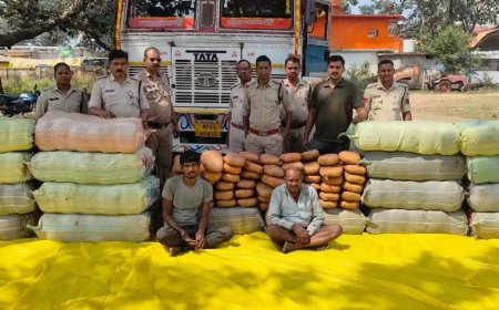 जयसिंहनगर में 735 किलो गांजा पकड़ा, कीमत 1.13 करोड़, UP और झारखंड के दो तस्कर गिरफ्तार