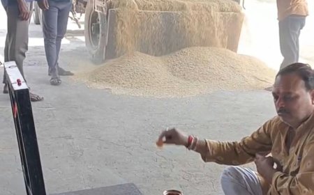 रायसेन मंडी में नई धान की आवक शुरू, 4 हजार रुपए क्विंटल तक बिकी पूसा वन