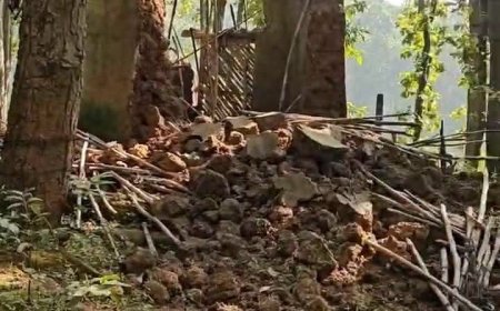 अमरकंटक में सरकारी पैसे से बनी ध्यान कुटिया ध्वस्त, करोड़ों के विकास कार्यों पर फिर उठे सवाल,