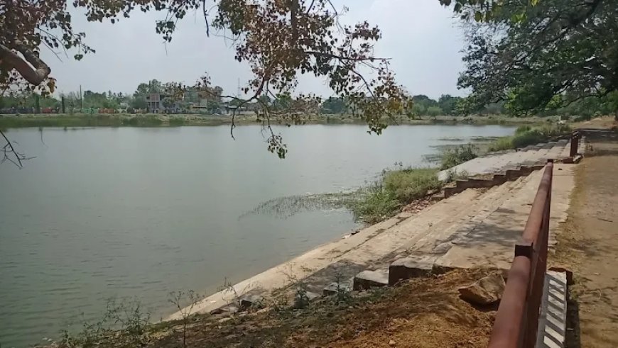तीन संदिग्ध मौतों की आपराधिक जांच की मांग, अधिवक्ता ने एसपी को सौंपा आवेदन