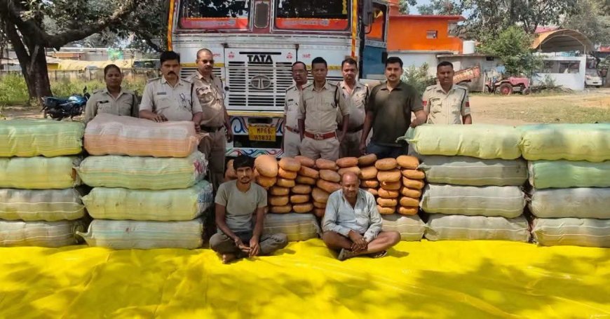 जयसिंहनगर में 735 किलो गांजा पकड़ा, कीमत 1.13 करोड़, UP और झारखंड के दो तस्कर गिरफ्तार