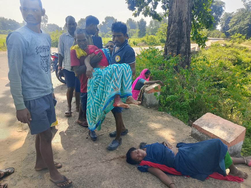 पाली में रेत माफिया का कहर ट्रैक्टर-ट्रॉली पलटी, 6 घायल; 3 की हालत गंभीर, जिम्मेदार अधिकारी मौन क्यों?