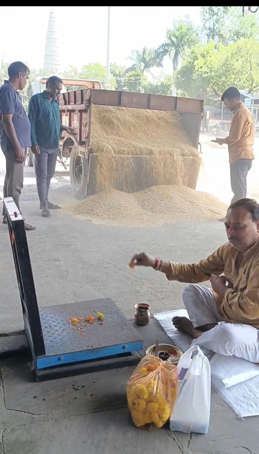 रायसेन मंडी में नई धान की आवक शुरू, 4 हजार रुपए क्विंटल तक बिकी पूसा वन