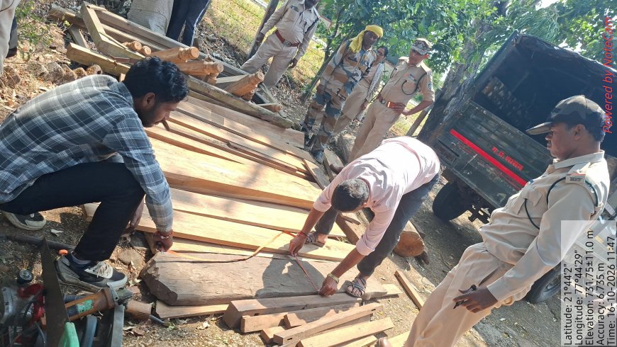 जमन्या में दो घरों से 42 नग सागौन की लकड़ी जब्त, दो लोगों पर वन अपराध दर्ज